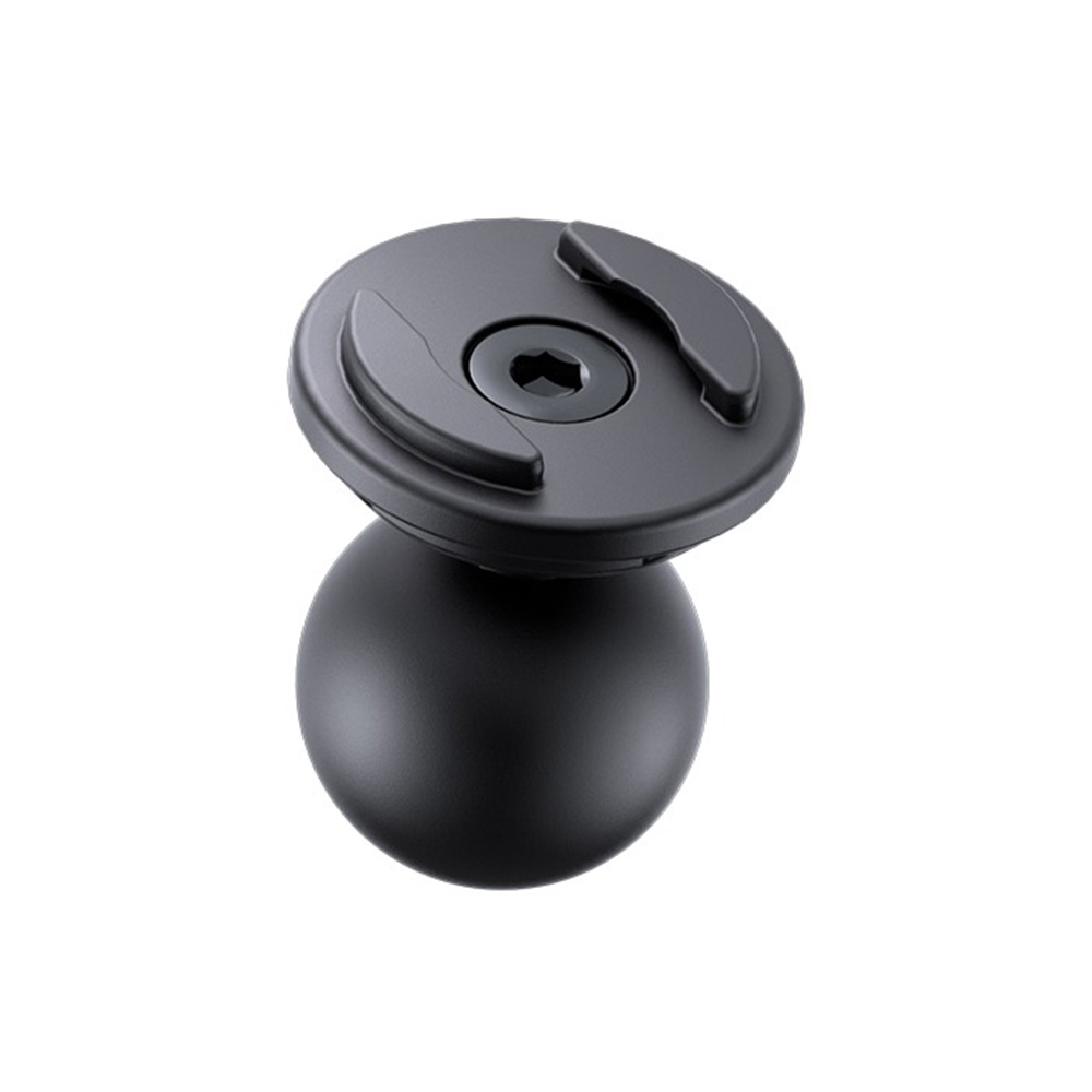 Daisy on the Ohoopee